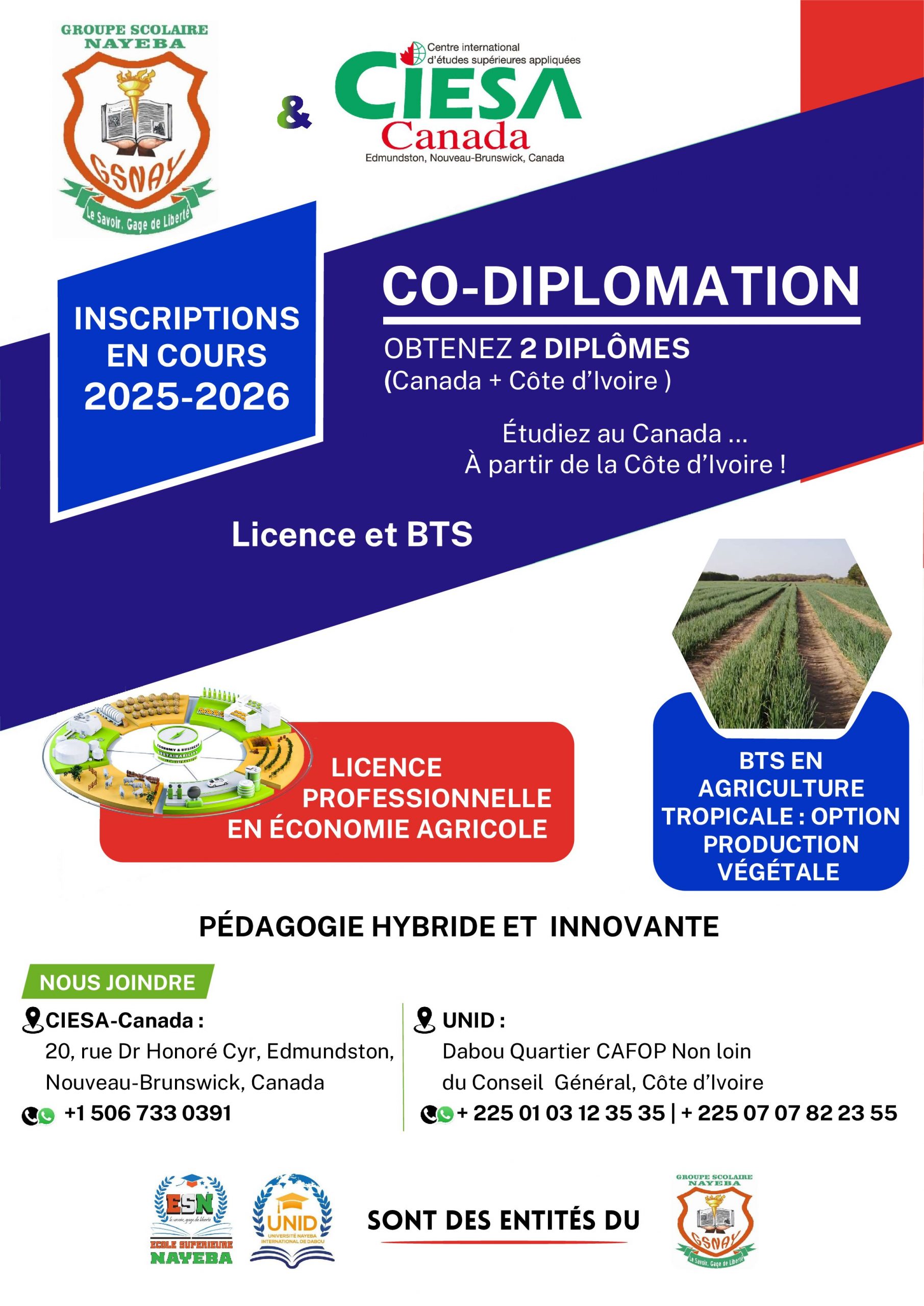 Affiche Co-Diplomation ESN CIESA